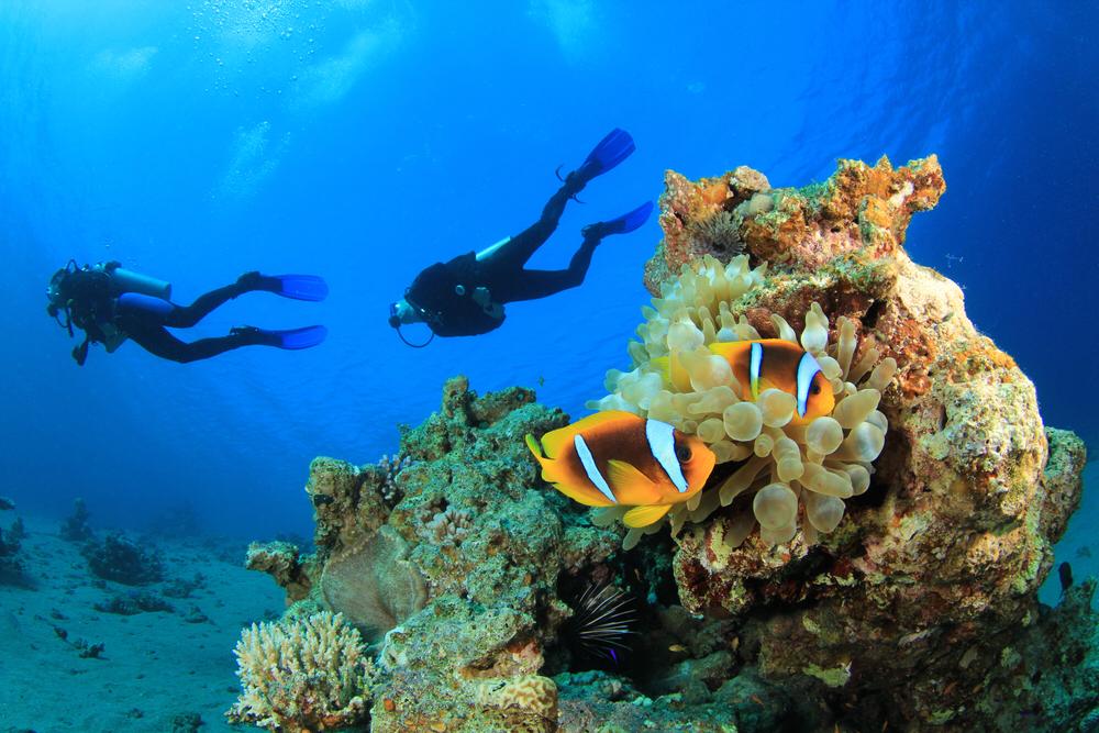 Bawe Snorkeling